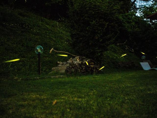 Locanda Montepaolo Dovadola エクステリア 写真
